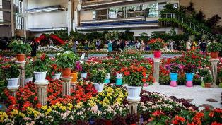 رامسر، میزبان نخستین همایش و نمایشگاه بین المللی گل و گیاهان زینتی رامسر، میزبان نخستین همایش و نمایشگاه بین المللی گل و گیاهان زینتی