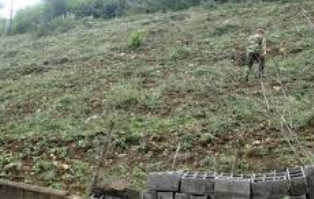 بازگشت اراضی ملی بازگشت اراضی ملی