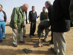 دستگیری متخلف شکار پرنده با استفاده از پرنده بالابان در منطقه جفیر