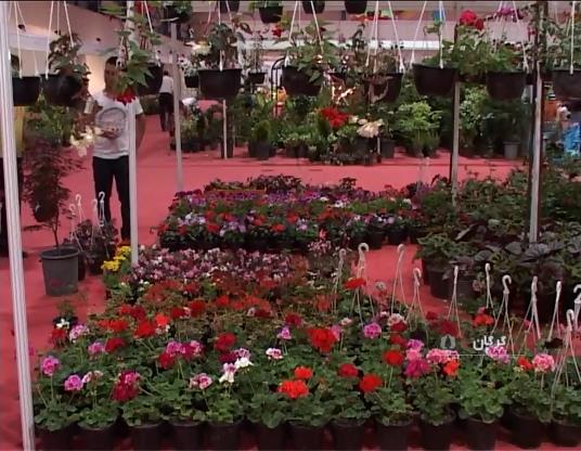 افتتاح ششمین نمایشگاه تخصصی  گل وگیاه در گلستان  + فیلم