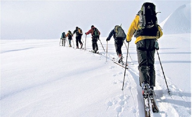 صید طلایی شد