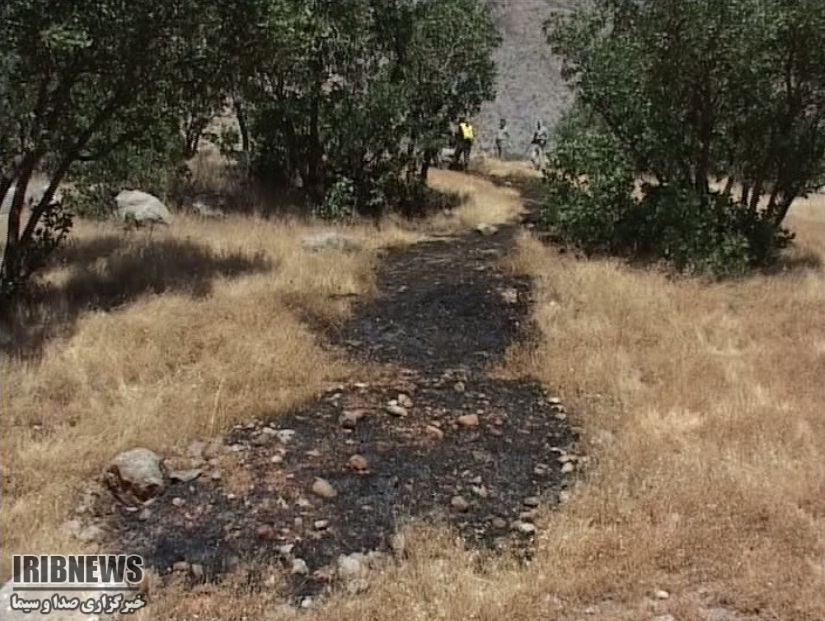 اجرای طرح آتش بر در منطقه حفاظت شده بیستون کرمانشاه اجرای طرح آتش بر در منطقه حفاظت شده بیستون کرمانشاه