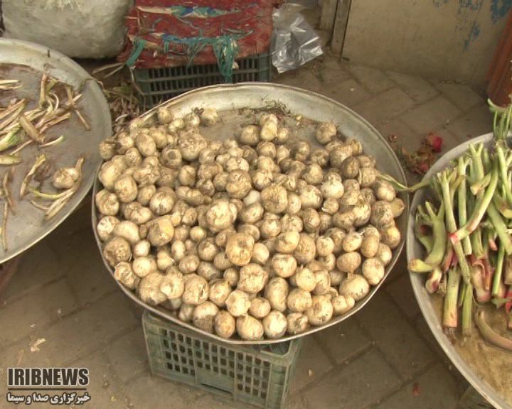 پایان برداشت موسیر در همدان