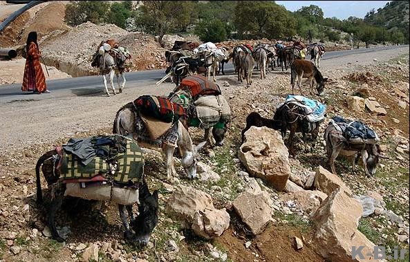 تسهیلات بانکی به عشایر استان