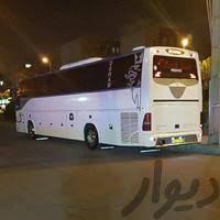 از زنده گیری مار پلنگی تا اسیدپاشی+فیلم از زنده گیری مار پلنگی تا اسیدپاشی+فیلم