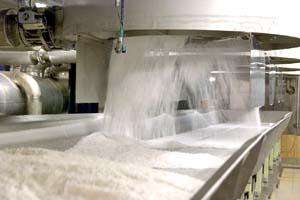 رئیس اتاق بازرگانی: رکورد تولید شکر شکست