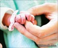 آمارموالید نوروزی درکرمان