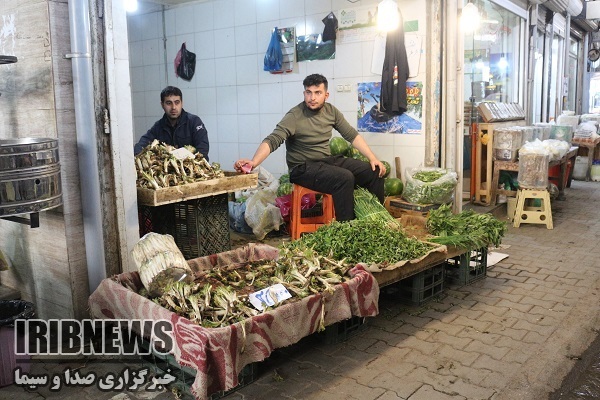 خودنمایی گیاهان خوراکی بهاری در سفره مردم مهاباد