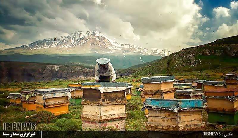 قسمت نهم - سوغاتی های لذیذ اردبیل