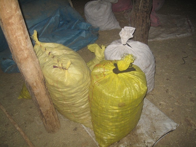 کشف و ضبط موسیر غیرمجاز در شهرستان فریدونشهر کشف و ضبط موسیر غیرمجاز در شهرستان فریدونشهر