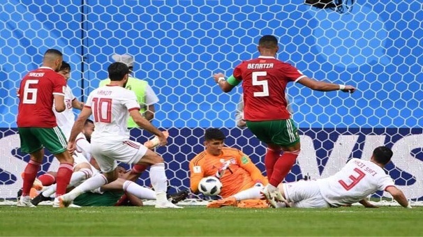 شیران صحرا مغلوب یوز‌های ایرانی