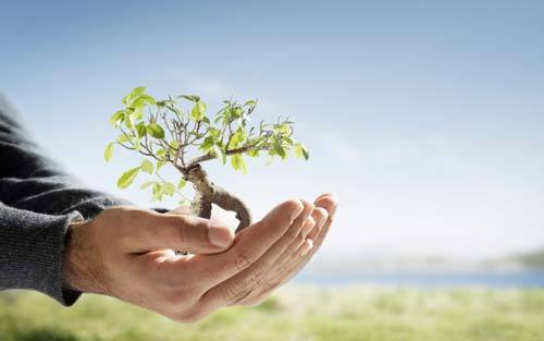 ثبت دو وقف جدید در جغتای