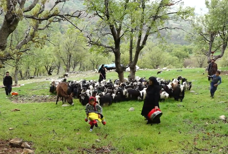 کوچ رسم دیرین عشایر بختیاری