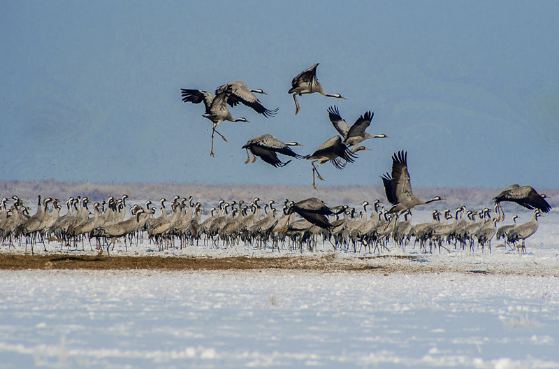 ریزگردها، میهمان ناخوانده آسمان اراک