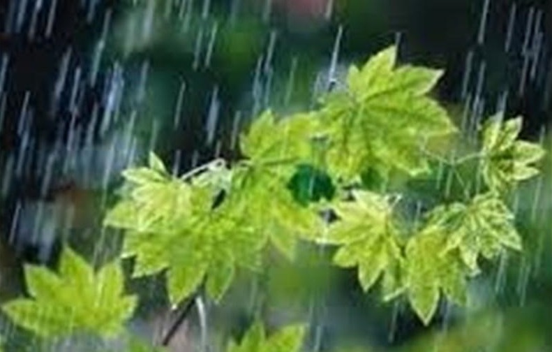 رگبار پراکنده , وزش باد