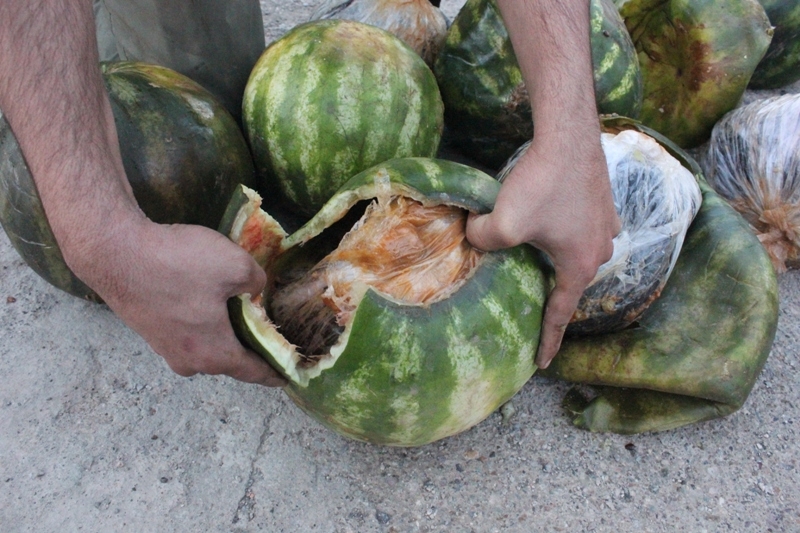 کشف تریاک در هندوانه