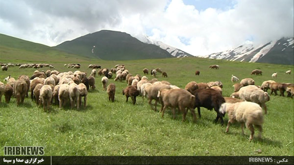 زیبایی ییلاقات مشگین شهر