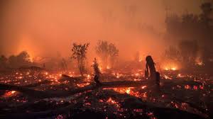 10 میلیون کودک در اندونزی در معرض تهدید هستند