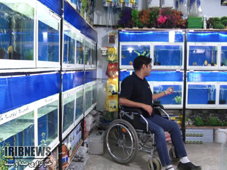 چشم نوازی زینت اشتغال