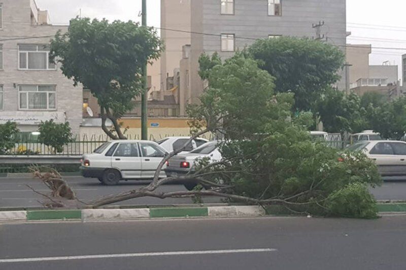 سرعت تندباد در اشنویه ۱۰۸ کیلومتر بر ساعت