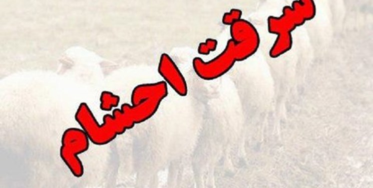 زخمی شدن مرد ۳۵ ساله در درگیری با راهزنان