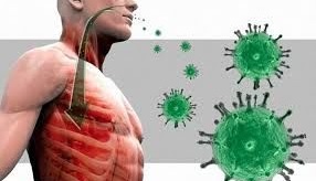 ساز و کار نفوذ مخفیانه ویروس کرونا در بدن ساز و کار نفوذ مخفیانه ویروس کرونا در بدن
