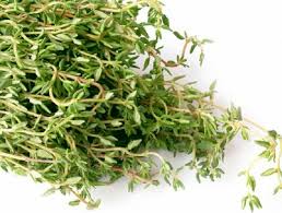 از خواص آویشن چه می&zwnj;دانید؟