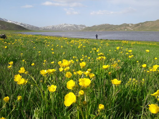 بزرگترین دریاچه آب شیرین کشور بزرگترین دریاچه آب شیرین کشور