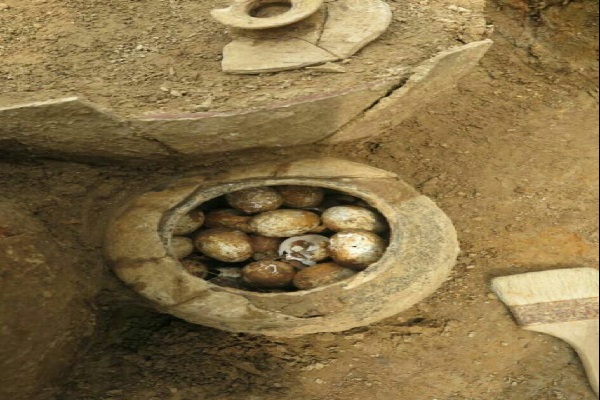 اندر احوالات تخم مرغ در فضای مجازی اندر احوالات تخم مرغ در فضای مجازی