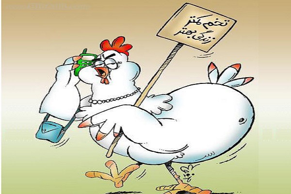 اندر احوالات تخم مرغ در فضای مجازی اندر احوالات تخم مرغ در فضای مجازی