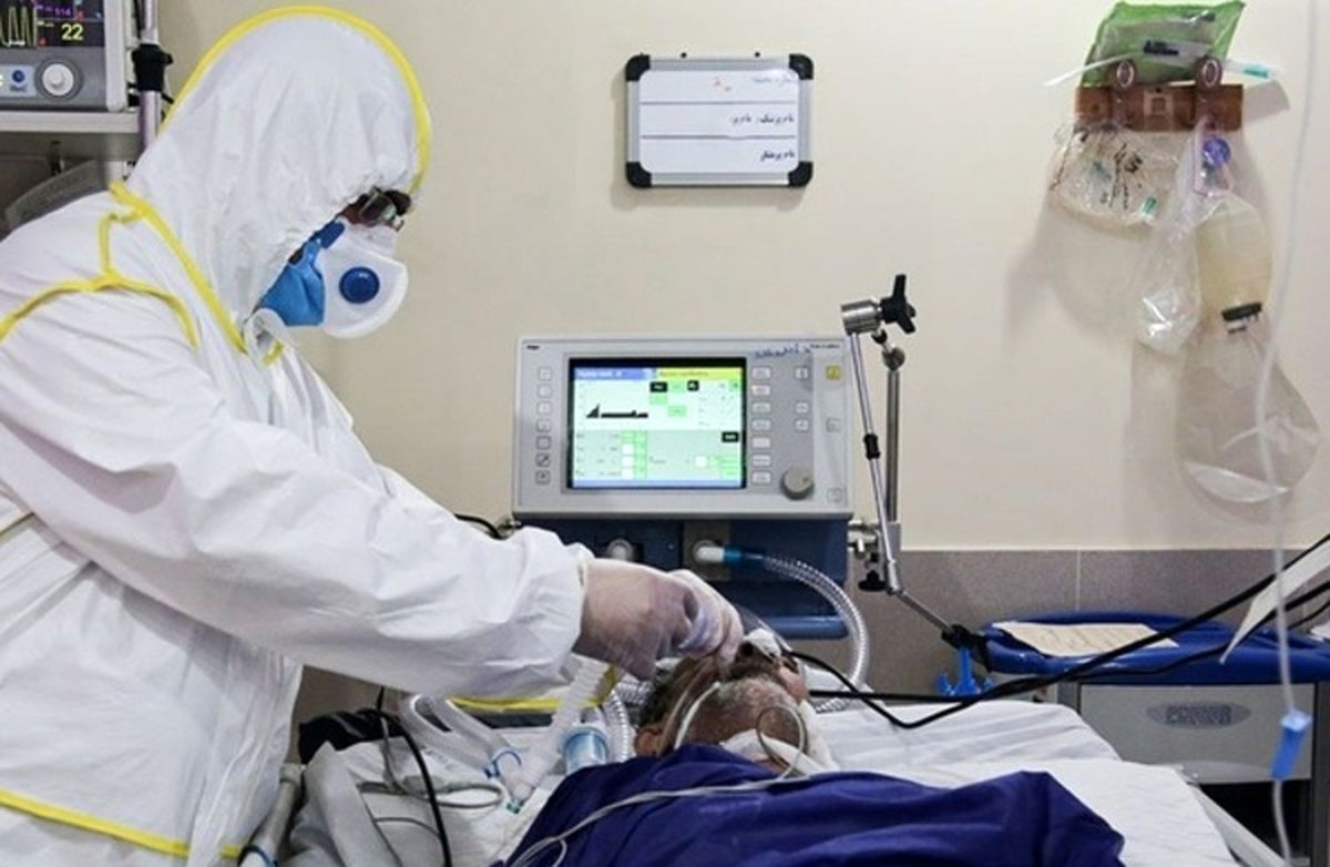 کرونا کیلو چند ؟