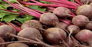 این خوراکی انرژی زای پرخاصیت را حتما فصل سرما بخورید این خوراکی انرژی زای پرخاصیت را حتما فصل سرما بخورید