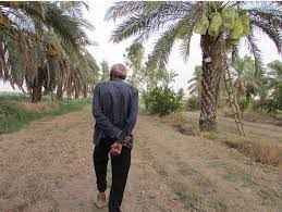 آب هست، اما کم هست...