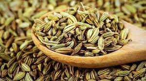 آغاز برداشت زیره سبز در بهاباد آغاز برداشت زیره سبز در بهاباد