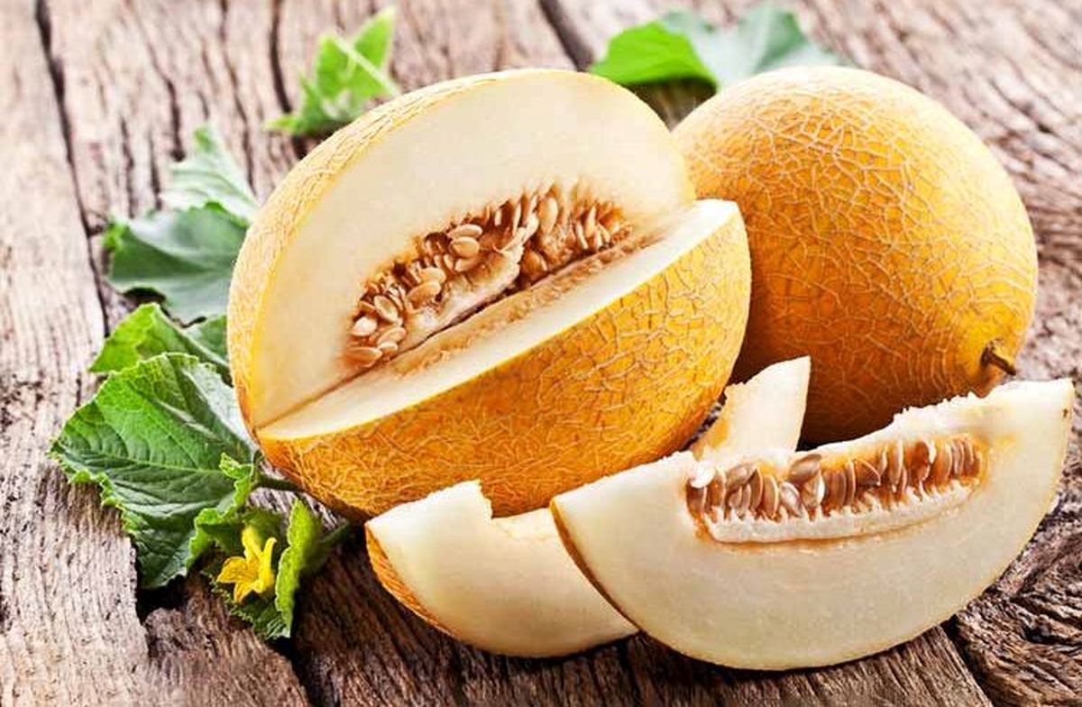 معرفی فواید خربزه از دیدگاه اسلام