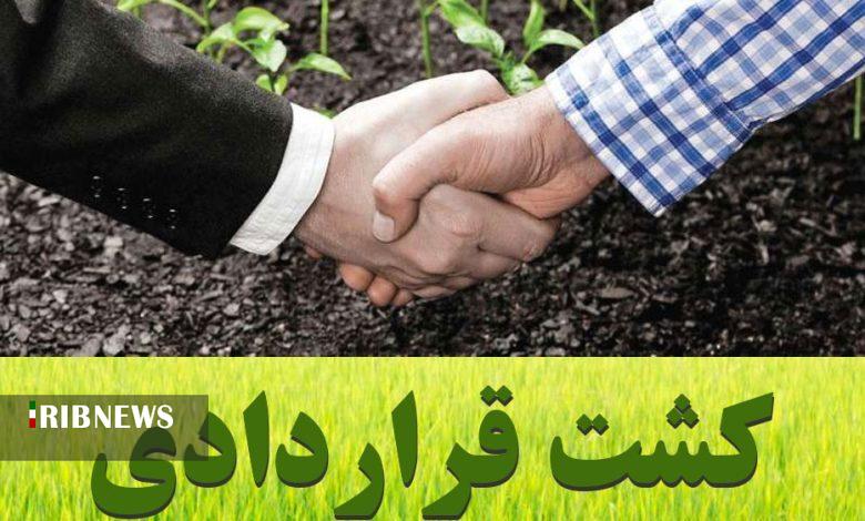 استقبال کم کشاورزان لرستانی از کشت قراردادی