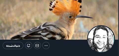 وحشت صهیونیستها از آغاز طوفان رمضان