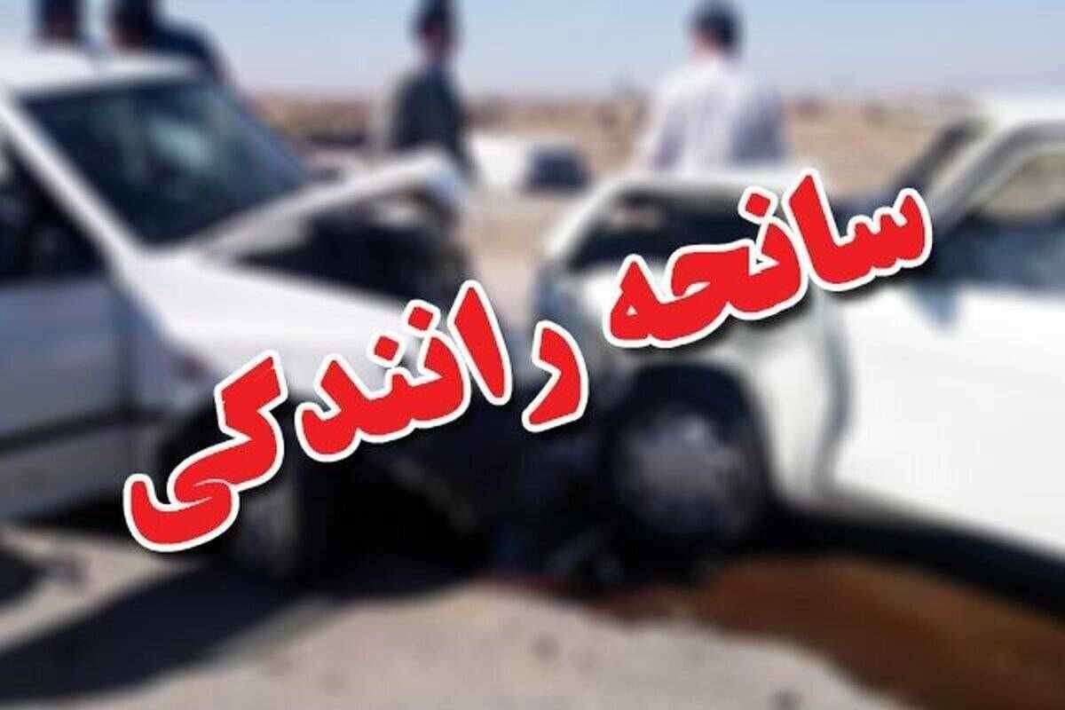 نبستن کمربند ایمنی عامل نیمی از فوتی‌های سوانح جاده‌ای