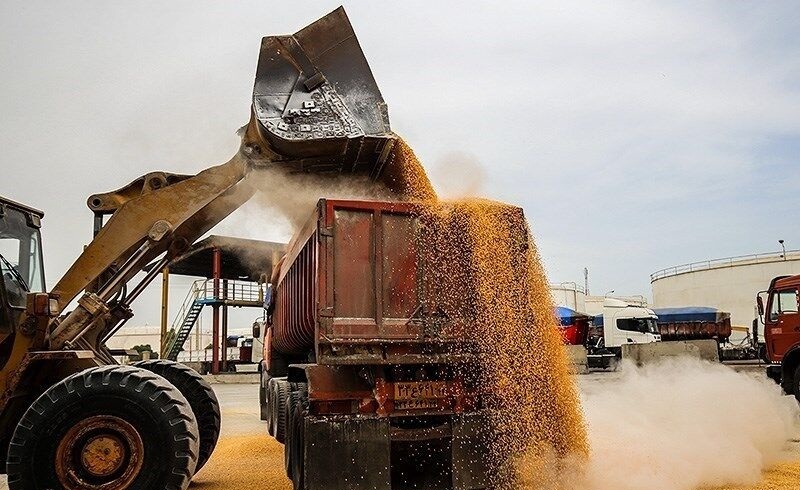 ترخیص بیش از ۵۰۰ هزار تن نهاده دامی از گمرک بندر امام خمینی ترخیص بیش از ۵۰۰ هزار تن نهاده دامی از گمرک بندر امام خمینی