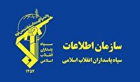 شناسایی شبکه سازمان یافته خرید و فروش غیرقانونی آرد و گندم 