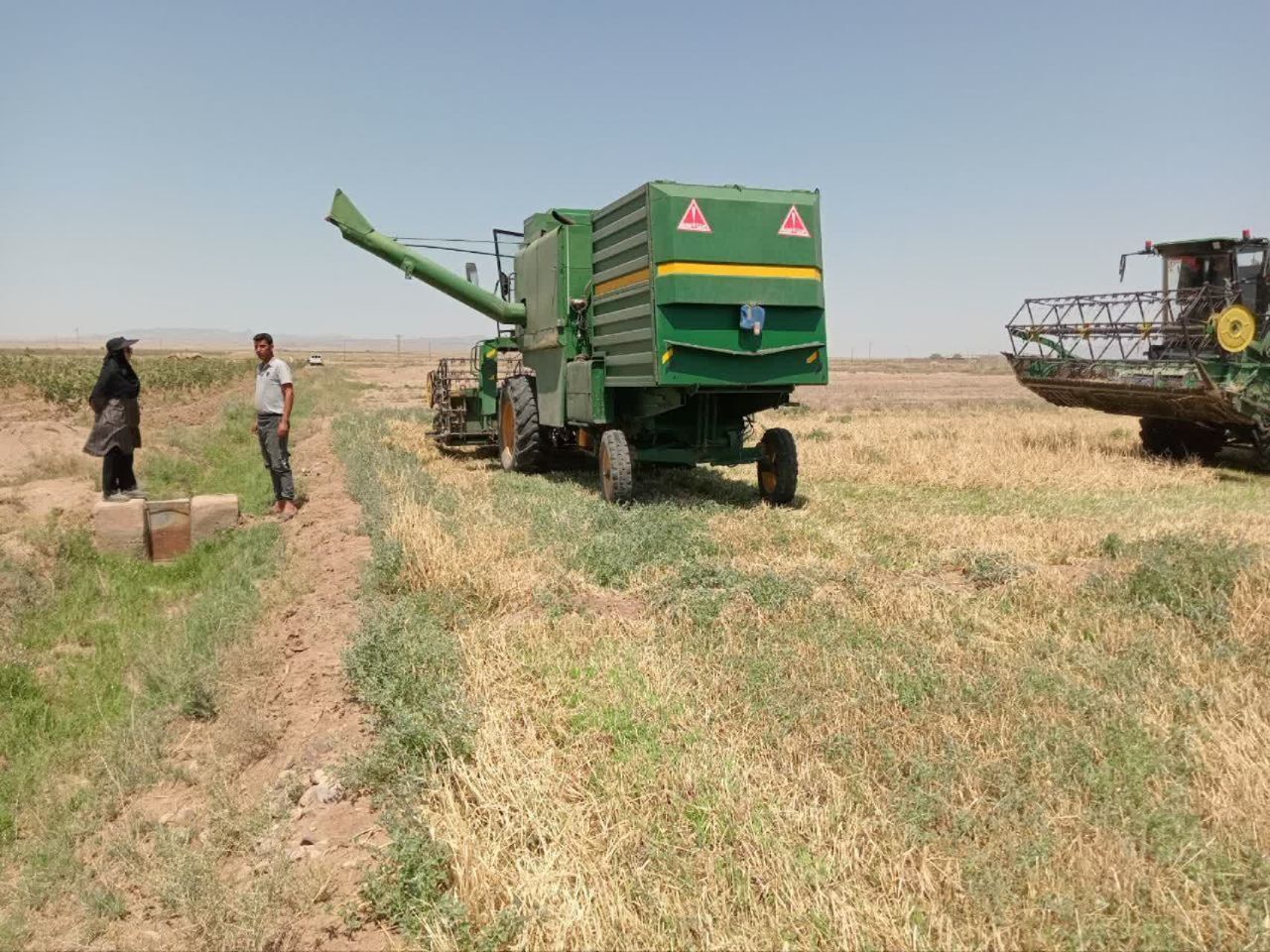 آغاز برداشت جو در شهرستان فیروزه