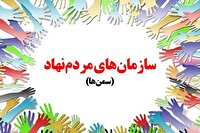 فعالیت ۵۳ سازمان مردم نهاد جوان در زنجان