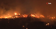 آتش سوزی جنگلی در استانبول