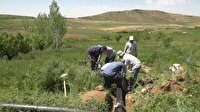 اجرای ۲۰ کیلومتر طرح انتقال آب با لوله در اراضی و باغات کشاورزی شهرستان تکاب