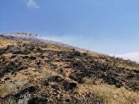شناسایی و دستگیری عامل آتش سوزی کوهبرد کهگیلویه