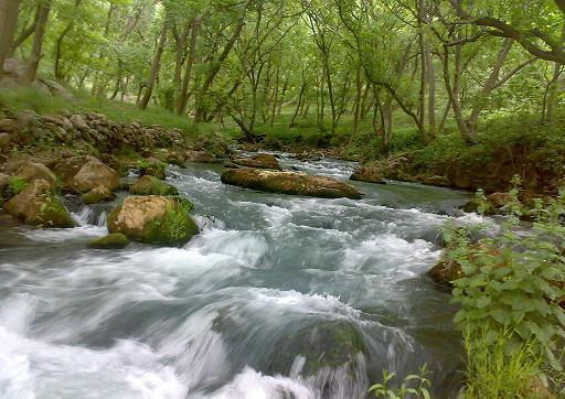 افزایش آورد آب رودخانه‌های مازندران در سال آبی گذشته