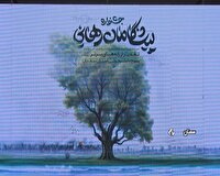 معرفی برترین ها در دومین جشنواره پیشگامان رهایی