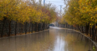 باران به فارس رسید