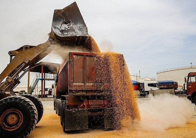 ترخیص بهداشتی بیش از ۱۰ میلیون تن نهاده دام وارداتی از بندر امام خمینی