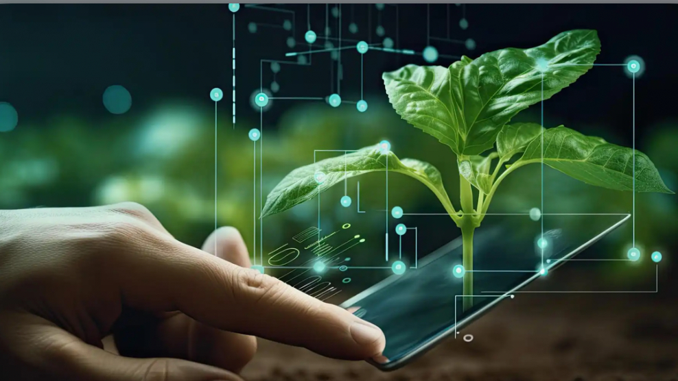 اگرویار ، سکویی جامع برای کشاورزی دقیق و مدیریت هوشمند مزرعه اگرویار ، سکویی جامع برای کشاورزی دقیق و مدیریت هوشمند مزرعه